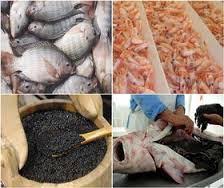 صادرات ۲۳.۴ هزار تن ماهی و آبزیان دریایی طی ۳ ماه