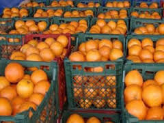 پرتقال شاه ‌میوه نوروز ۹۴/ مرغ همچنان ۸۵۰۰ تومان