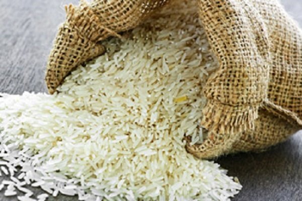 ناتوانی وزارت جهاد کشاورزی در جلوگیری از افزایش کشت برنج  در استانهای غیرشمالی