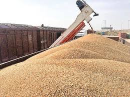 شیب تند قیمت محصولات اساسی در بازارهای جهانی/ قیمت گندم 8 دلار افزایش یافت