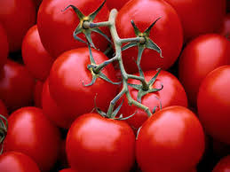 فراز و فرود گوجه‌ فرنگی از ۱۰ هزار تا ۱۰۰ تومان/ ورود گوجه ارزان پاکستانی به بازار 