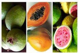 جولان میوه‌های خارجی چراغ سبزی برای گرانی میوه‌های داخلی/ قیمت‌های نجومی قصد پایین آمدن ندارد