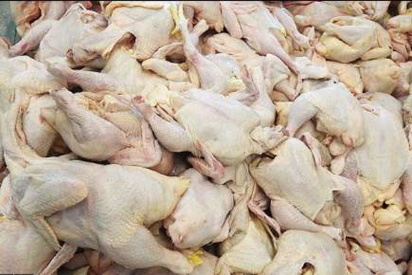 صادرات گوشت مرغ  از اول اسفند ماه ممنوع می‌شود