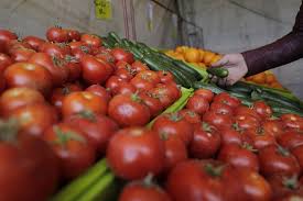 خرید حمایتی گوجه‌فرنگی از امروز در کرمان آغاز می‌شود