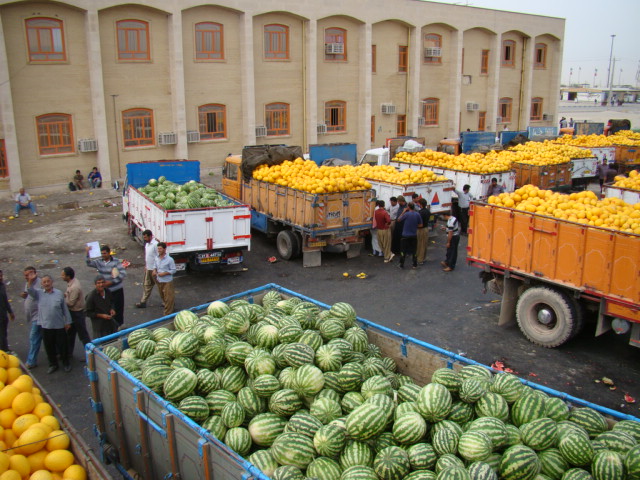  4 هزار دلال شبانه قیمت میوه را پایین وبالا می کشند 