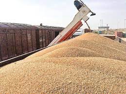 ایران برای خرید گندم در مناقصه بین المللی شرکت کرد